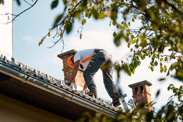 Best Roof Gutter Cleaning  in Ballard, UT
