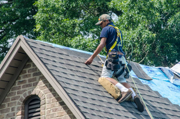 Professional Roofing Contractor in Ballard, UT